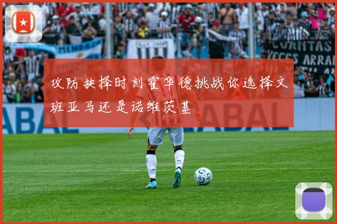 攻防抉择时刻霍华德挑战你选择文班亚马还是诺维茨基